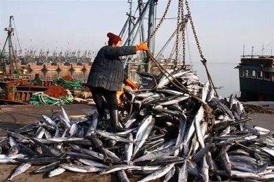 賦能深藍(lán) 海洋漁業(yè)機(jī)械納入農(nóng)機(jī)補(bǔ)貼，助推產(chǎn)業(yè)現(xiàn)代化升級(jí)